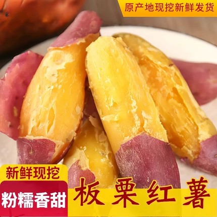 正宗陕西板栗红薯临潼现挖新鲜沙地黄心蜜薯糖心粉糯地瓜商用
