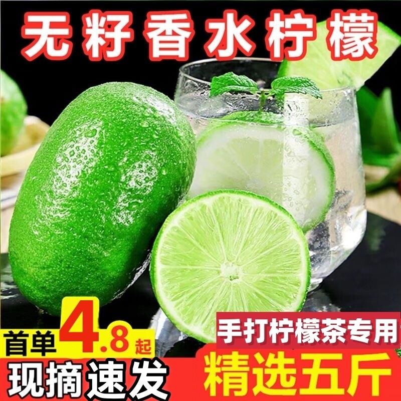 海南无籽香水柠檬新鲜子弹头柠檬皮薄手打柠檬茶专用青柠鲜果奶茶