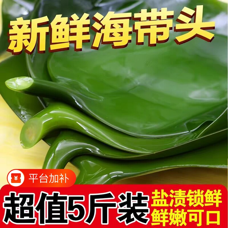 新鲜盐渍海带头5斤海带丝干货煲汤海带根凉拌菜整箱批发装鲜海带