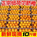 新鲜水果橙子整箱手剥橙果园 当季 一级正宗湖南纽荷尔脐橙10斤 包邮