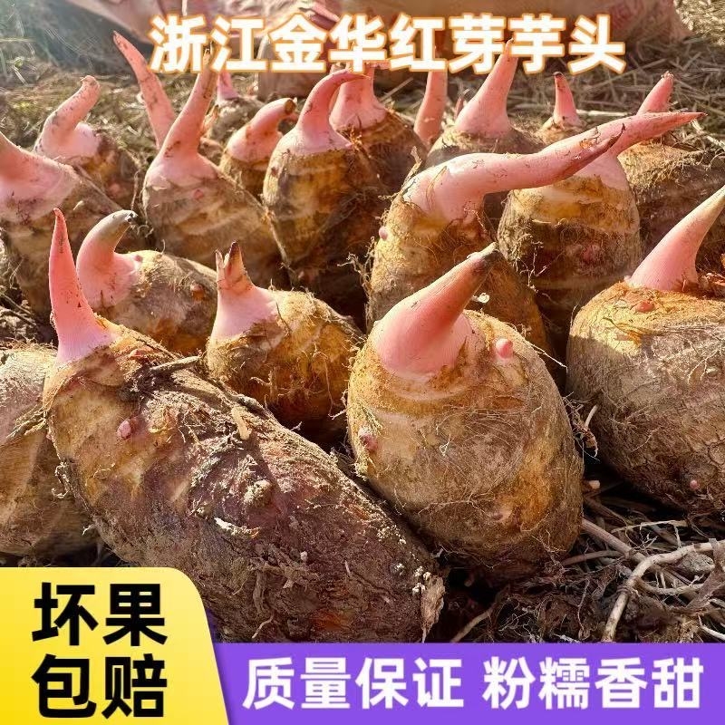 山东牛奶芋头新鲜毛软糯香滑