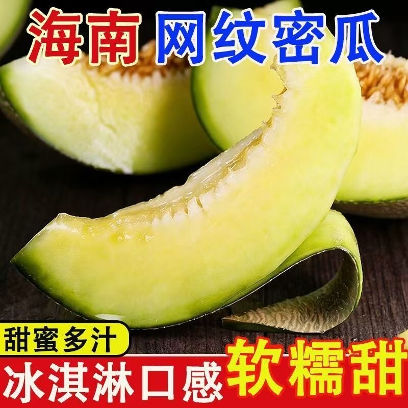 【海南直发】正宗网纹瓜蜜瓜冰淇淋网文瓜一藤一瓜新鲜当季水果