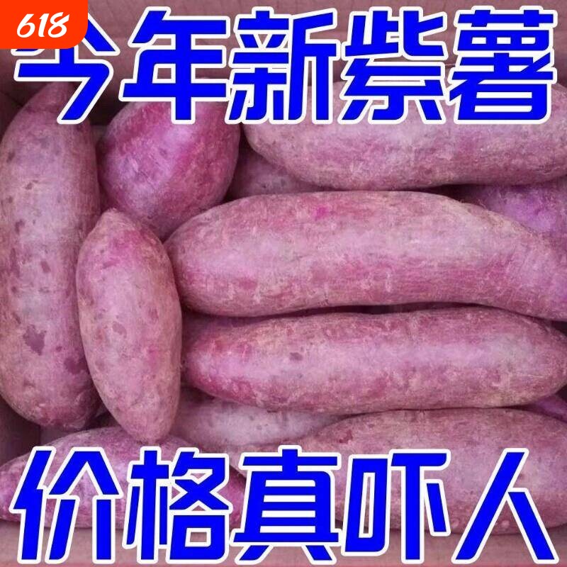 紫薯新鲜地瓜紫心蜜薯现挖沙地板栗番薯山芋农家自种蔬菜包邮食用