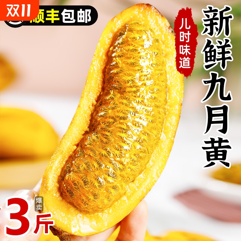 新鲜九月黄5斤应季水果拿麻藤包牛卵坨八月瓜木通果特产现货包邮