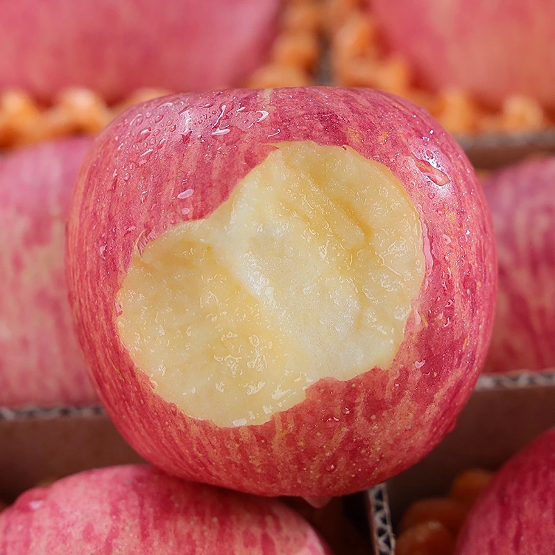 陕西洛川苹果水果新鲜采摘正宗当季红富士脆甜冰糖心整箱应季包邮