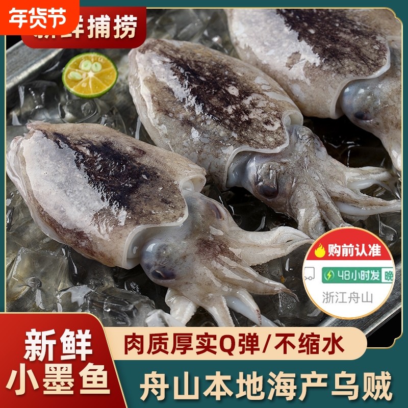 真正舟山小墨鱼新鲜墨鱼仔超大号冷冻生海鲜鲜活水产大乌贼目鱼