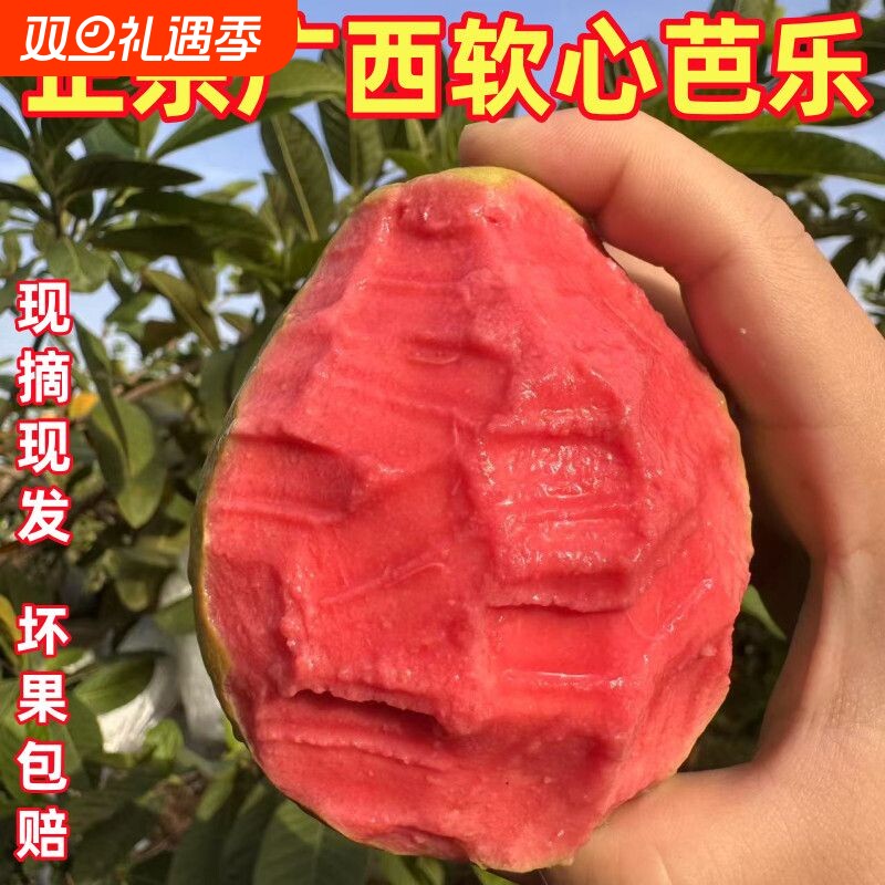 广西红心芭乐软糯双拼红白新鲜番石榴大果脆甜鸡屎果当季水果正宗