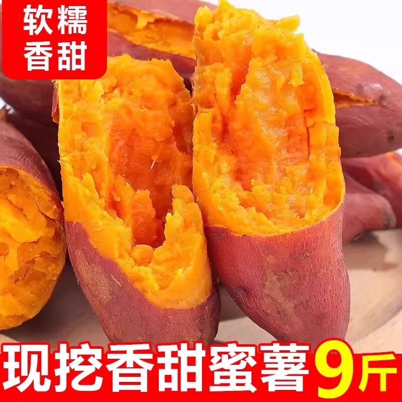 新鲜红薯番薯现挖龙九蜜薯软糯香甜沙地农家自种板栗红薯产地直发