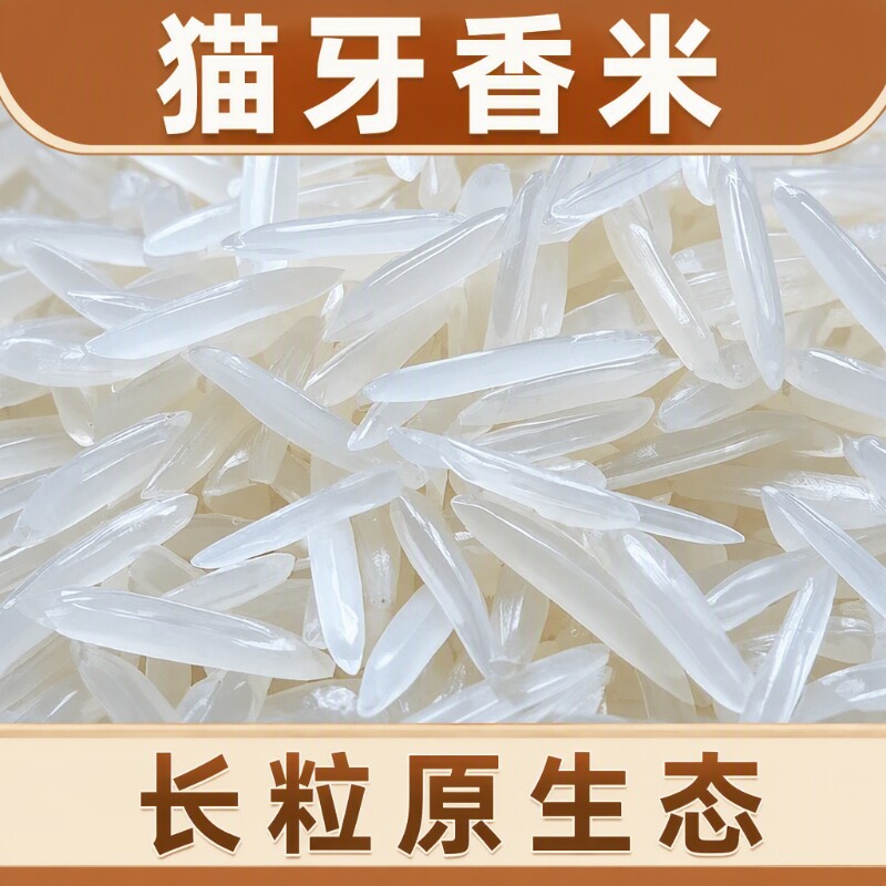 猫牙香米广西上林新米长粒原生态大米20斤晚稻便宜优质当季粒粒