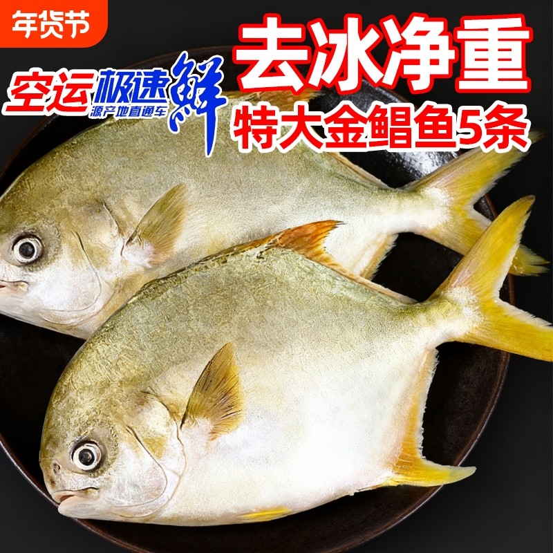 金鲳鱼特大鲳鱼海鱼金昌鱼平鱼银鱼白鲳鳊鱼鲜活新鲜冷冻冰鲜顺丰,水产肉类/新鲜蔬果/熟食,鲳鱼,淘宝优惠券,粉丝福利购,淘宝优惠卷