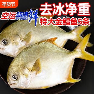 金鲳鱼特大鲳鱼海鱼金昌鱼平鱼银鱼白鲳鳊鱼鲜活新鲜冷冻冰鲜顺丰
