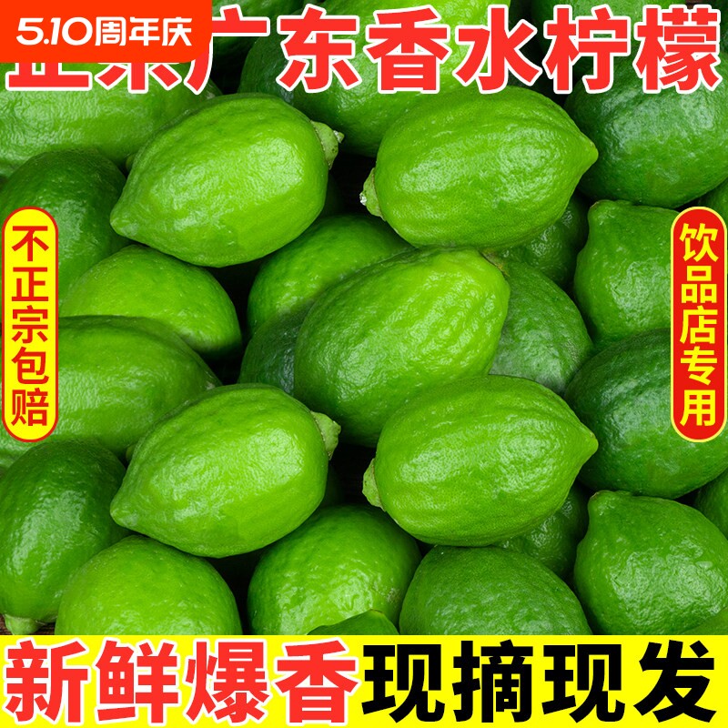 广东香水柠檬新鲜正宗青柠檬无籽大果一级果应当季水果奶茶店专用