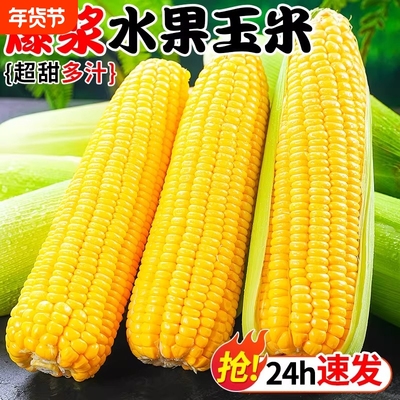 新鲜现摘云南水果玉米玉米棒爆浆甜玉米生吃脆甜香甜可口包谷生鲜