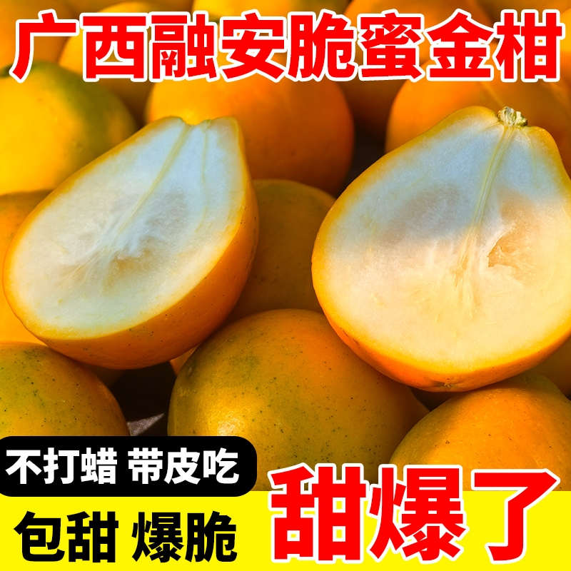 【脆蜜金柑】正宗第三代广西融安脆蜜金桔新鲜应季水果顺丰包邮