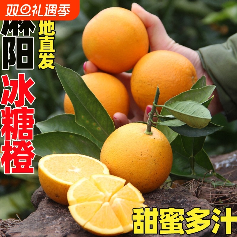 正宗麻阳冰糖橙当季现摘橙子新鲜水果果冻纯甜榨汁果冻甜橙果9斤