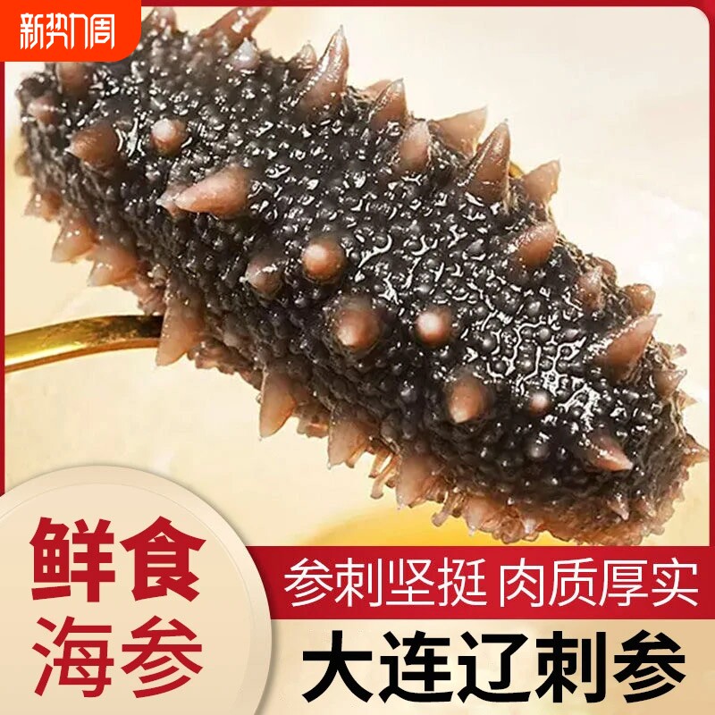 大连海参即食刺参鲜活冷冻辽参干货特价滋补水产深海年货节新鲜