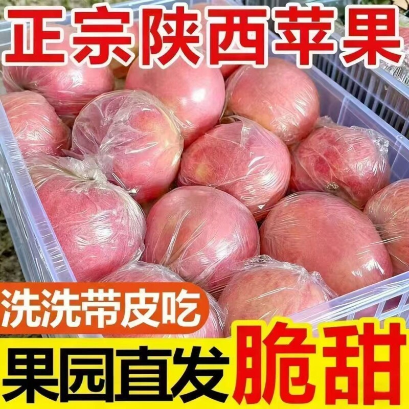 陕西冰糖心红富士膜袋丑苹果当季新鲜水果9斤批发包邮整箱脆甜