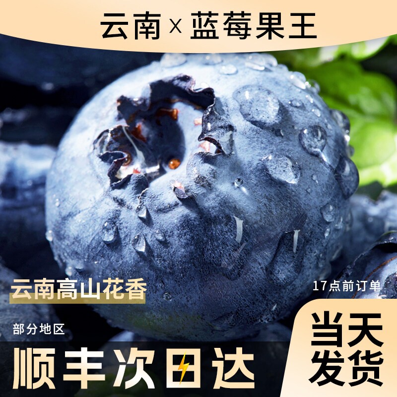 高山蓝莓当季鲜果新鲜高端水果顺丰包邮蓝梅云南怡颗现摘一颗大果