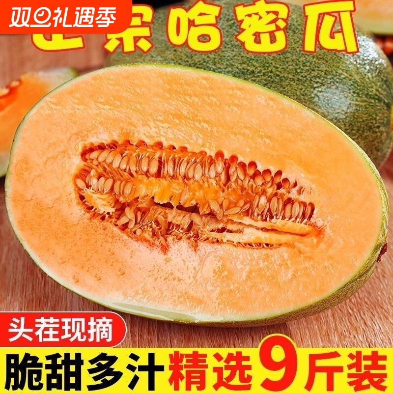 海南优质新鲜哈密瓜水果当季网纹甜瓜脆甜香瓜应季孕妇整箱批发