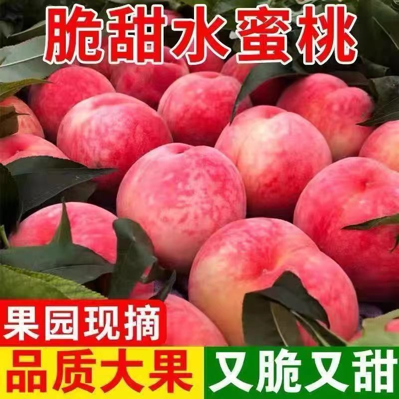 现摘水蜜桃新鲜水果大桃子应当季时令毛桃蜜桃直发大果果园送货