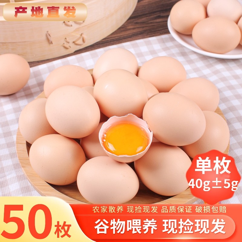 【破损包赔】农家散养土鸡蛋鲜鸡蛋无添加纯天然宝宝孕妇营养辅食