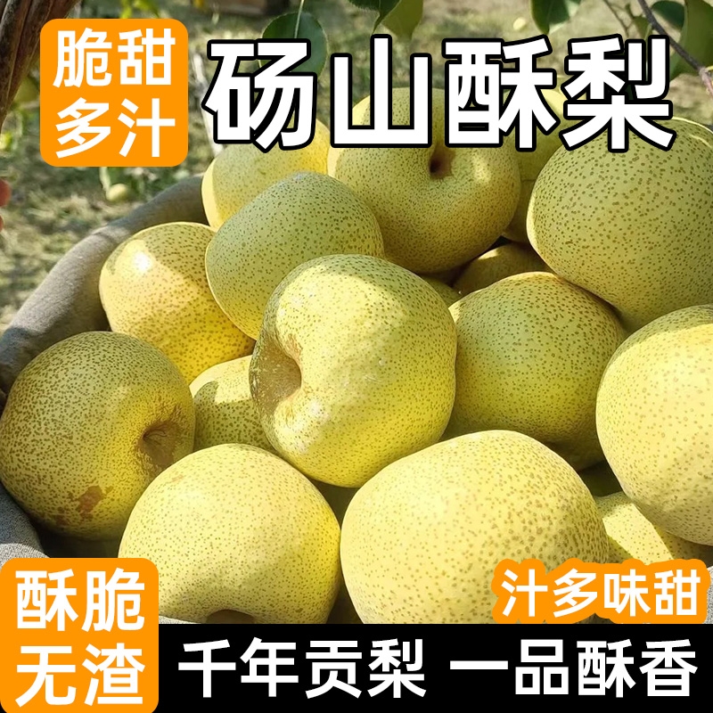 产地直发冰糖酥梨皮薄多汁核小肉质细腻无渣清甜润燥家庭分享装