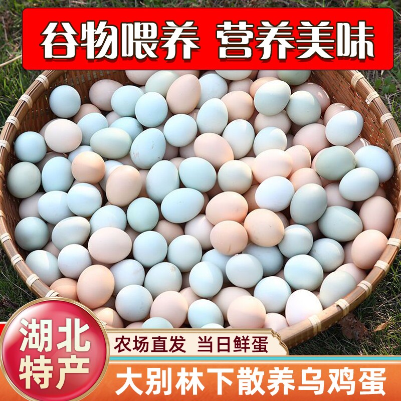 农家散养绿壳鸡蛋50枚湖北山区跑山鸡月子蛋健康蛋白正宗新鲜鸡蛋
