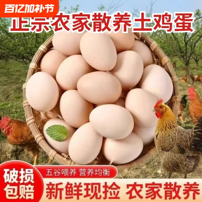 农家鲜鸡蛋50g谷物慢养鸡蛋五谷鲜鸡蛋草鸡蛋笨鸡蛋农家笨鸡蛋