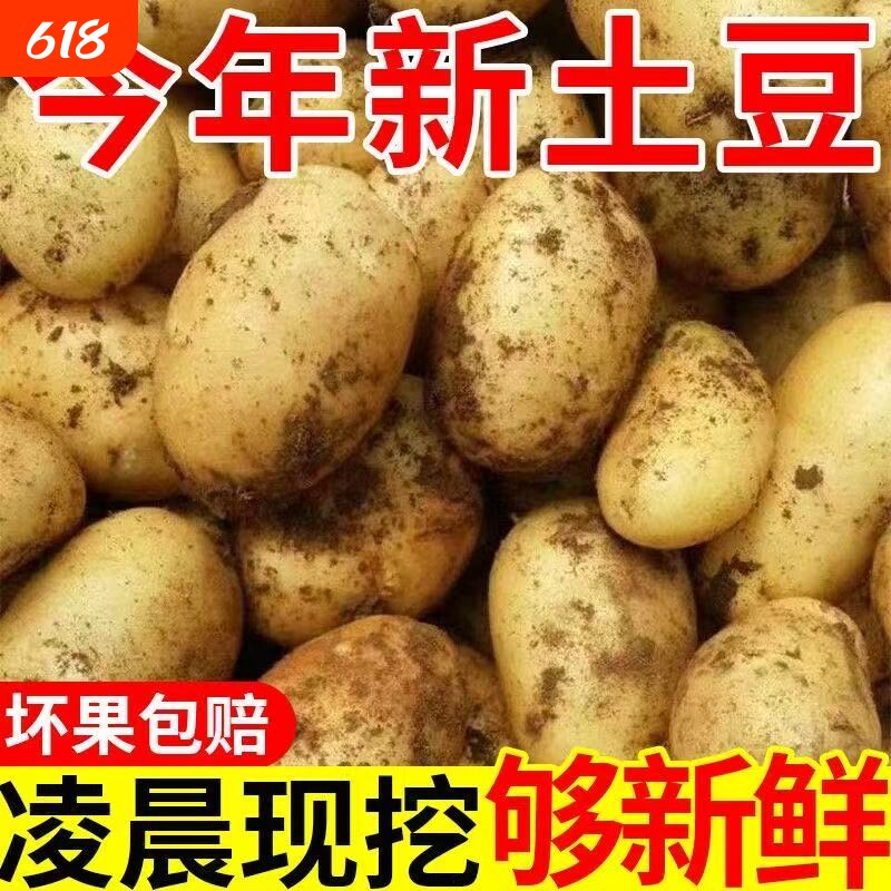 贵州正宗黄皮黄心土豆整箱现挖新鲜蔬菜沙面正宗批发洋芋产地直发