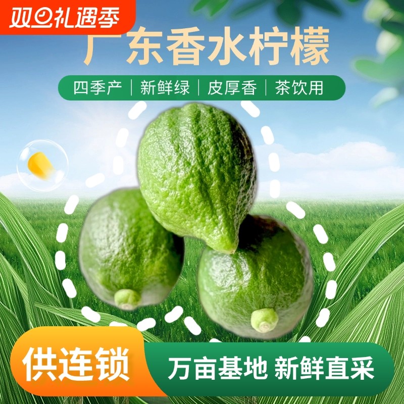 广东香水柠檬新鲜正宗青柠檬无籽大果一级果9斤奶茶店专用