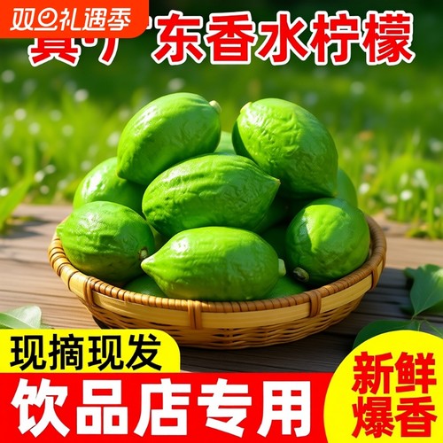 正宗广东香水柠檬一级果