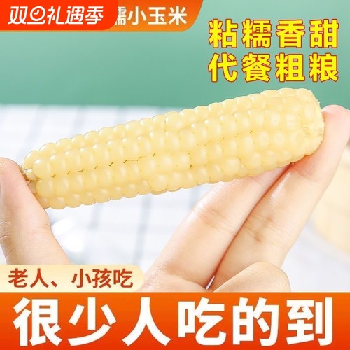 新鲜采摘拇指玉米儿童代餐