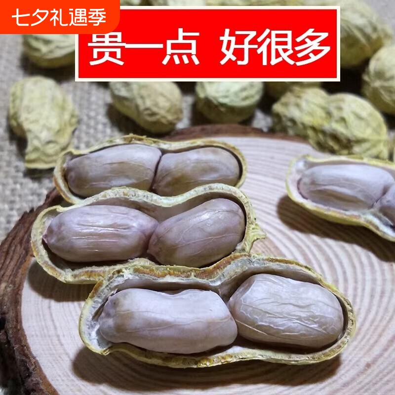 新龙岩水煮花生白晒干盐水煮咸干湿烤500gx2袋装散熟零食特产原味
