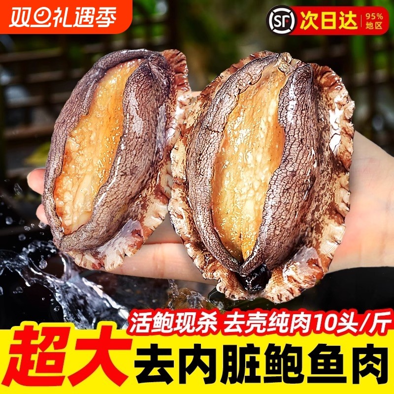鲍鱼肉鲜活冷冻新鲜特大号去壳冰鲜速冻小鲍鱼肉海鲜火锅食材商用