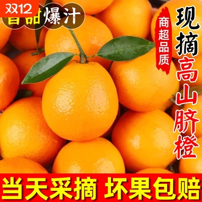 正宗湖南纽荷尔脐橙子新鲜水果非江西赣州赣南5/9斤当季大果爆汁