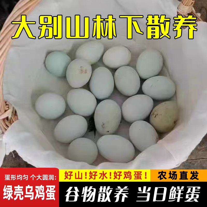 绿壳乌鸡蛋湖北山区散养土鸡蛋
