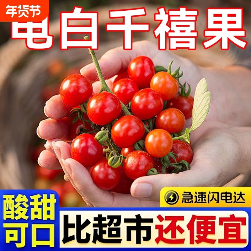 正宗茂名电白冰糖千禧圣女果维生素小番茄当季水果新鲜西红柿