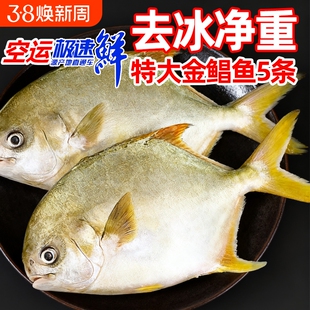 金鲳鱼特大鲳鱼海鱼金昌鱼平鱼银鱼白鲳鳊鱼鲜活新鲜冷冻冰鲜顺丰
