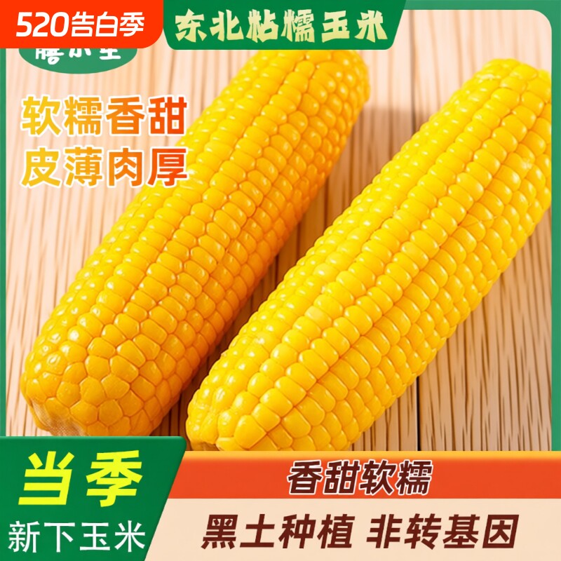 黄糯玉米棒现摘东北黄真新鲜甜玉米粒粘香甜包邮粗粮年货真空当季
