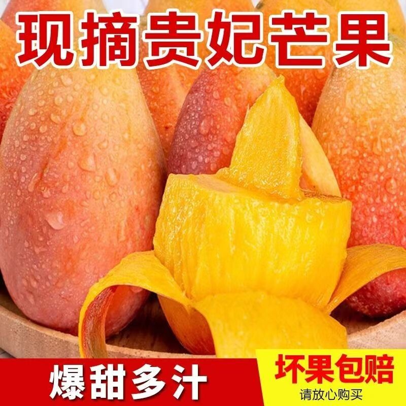 海南贵妃芒果现摘树上熟红金龙芒果辣椒芒特级果新鲜水果孕妇水果