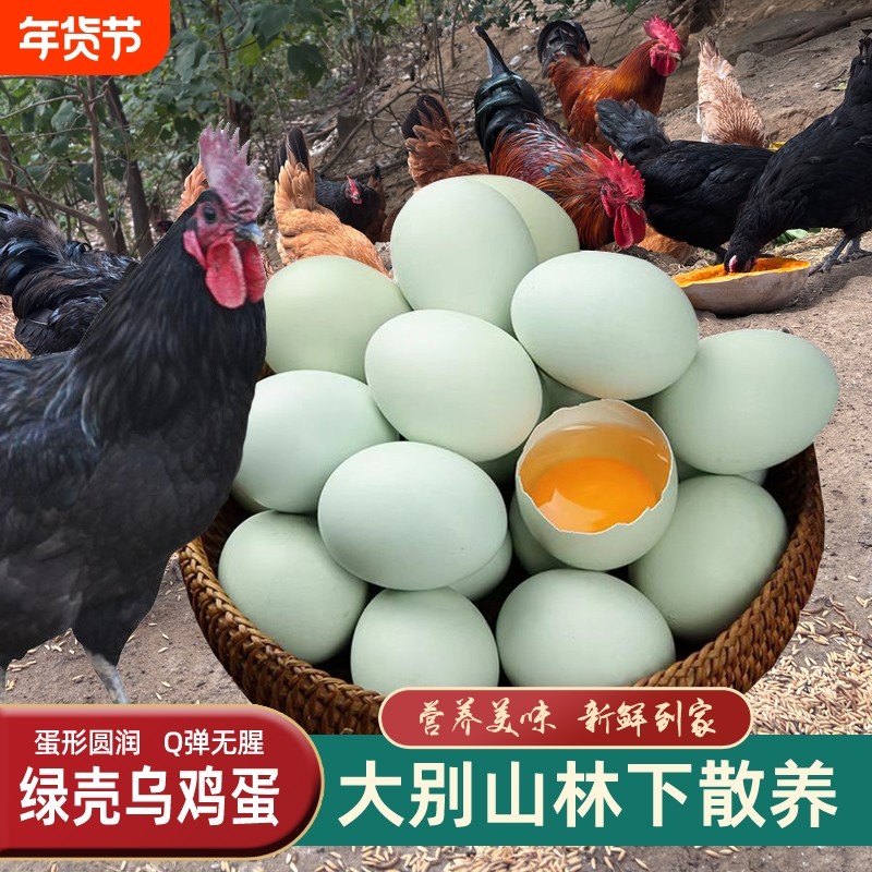 绿壳鸡蛋正宗土鸡蛋新鲜50枚大别山农家散养虫草蛋孕妇儿童乌鸡蛋