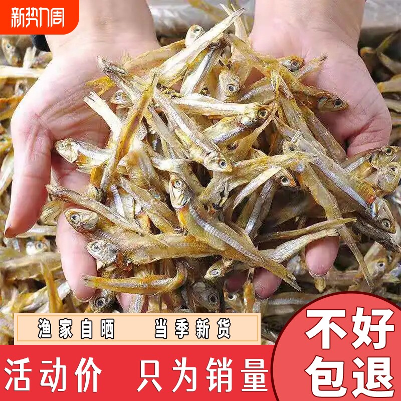 新鲜渔民公干小鱼干干货小水晶鱼风干海燕鱼仔咸鱼干鲜活水产鲜香