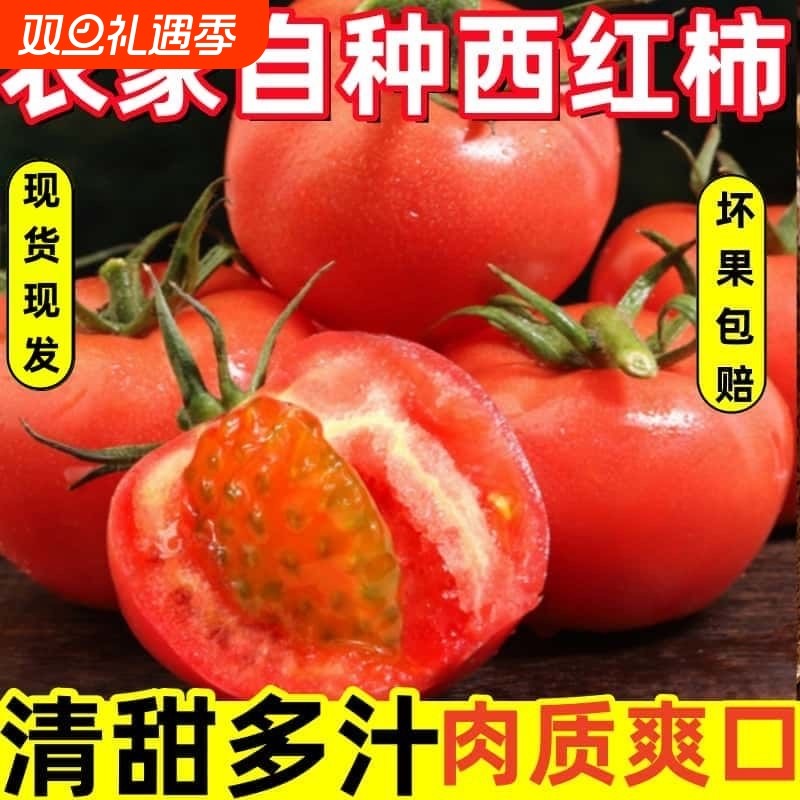 现摘新鲜四川水果农家西红柿自然熟新鲜普罗旺斯沙瓤大番茄