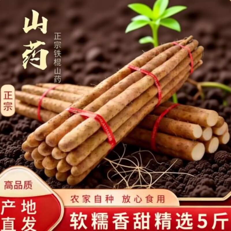 正宗铁棍新鲜山药小白嘴山药麻山药新鲜现挖产地直发宝宝辅食