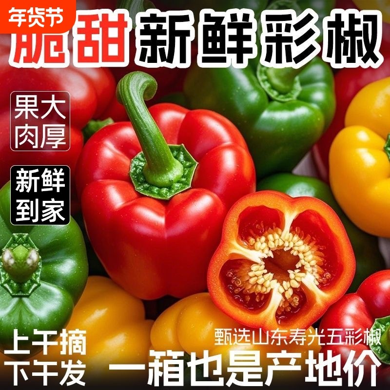 正宗山东甜椒生吃不辣五彩椒新鲜圆椒红椒黄椒绿椒七彩水果椒,水产肉类/新鲜蔬果/熟食,辣椒,淘宝优惠券,粉丝福利购,淘宝优惠卷