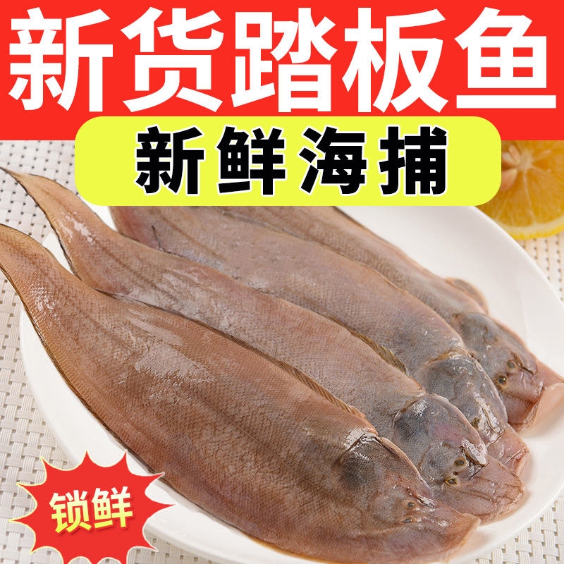 海捕龙利鱼小舌头鱼新鲜踏板鱼带皮冷冻海鱼海鲜生鲜商用批鱼片