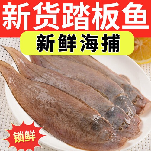 海捕龙利鱼小舌头鱼新鲜踏板鱼带皮冷冻海鱼海鲜生鲜商用批鱼片