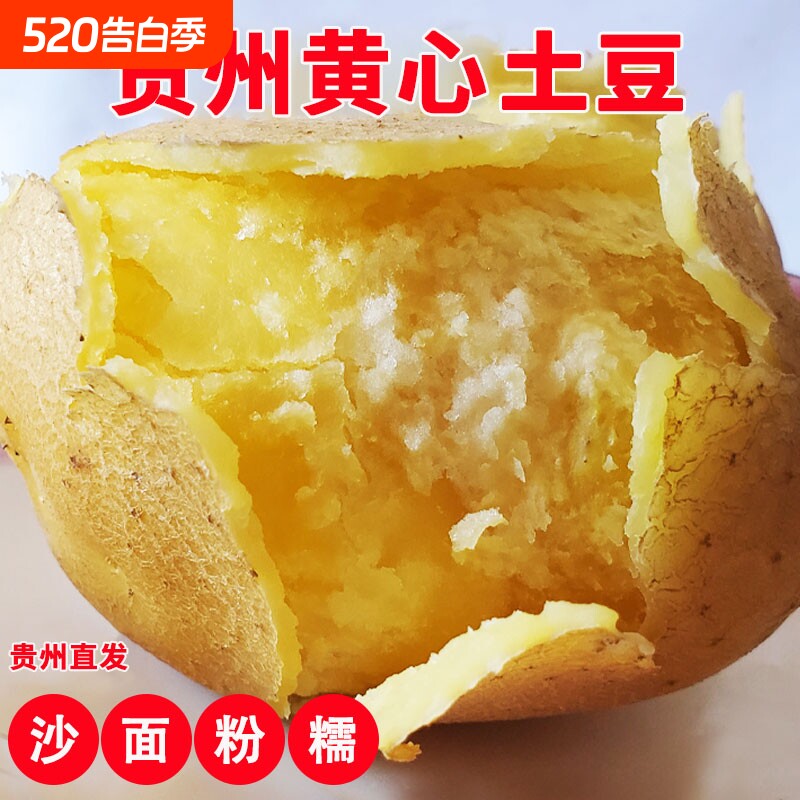 贵州农家自种新鲜土豆10斤带泥黄心洋芋粉面马铃薯现挖产地直发