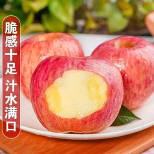 正宗山西运城红富士苹果脆甜苹果口感脆甜多汁自产自销孕妇水果