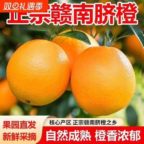 江西赣南脐橙甜蜜多汁现采直发手剥橙子儿童孕妇应季水果皮薄